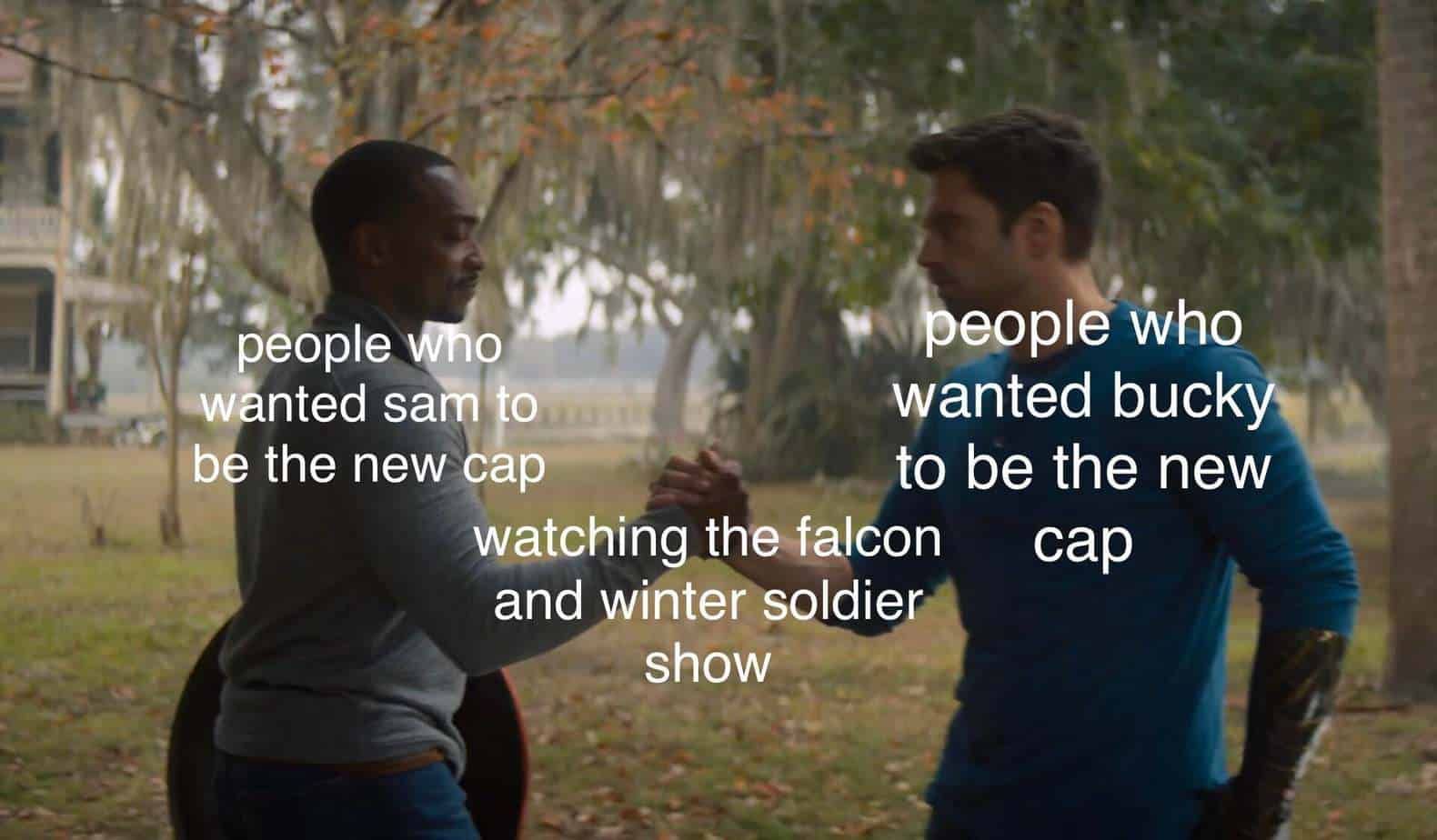 new cap falcon and winter soldier memes