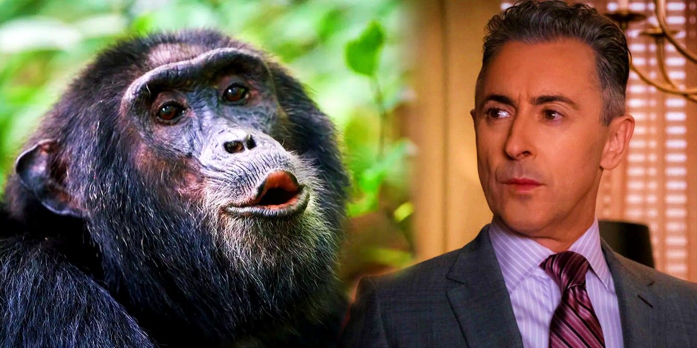 Alan Cumming’s Buddy Co-Star Tonka The Chimp Found Alive After Long Search
