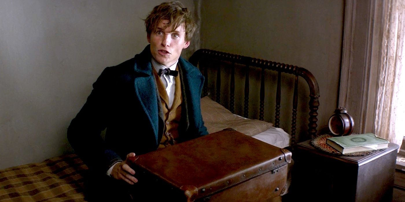 Fantastic Beasts 10 Newt Scamander Facts We Want To See In The Movies
