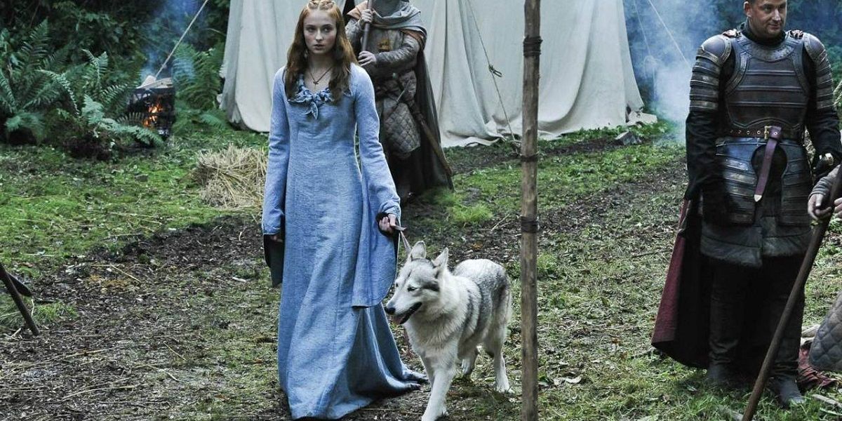 Sansa and her direwolf Lady on Game of Thrones