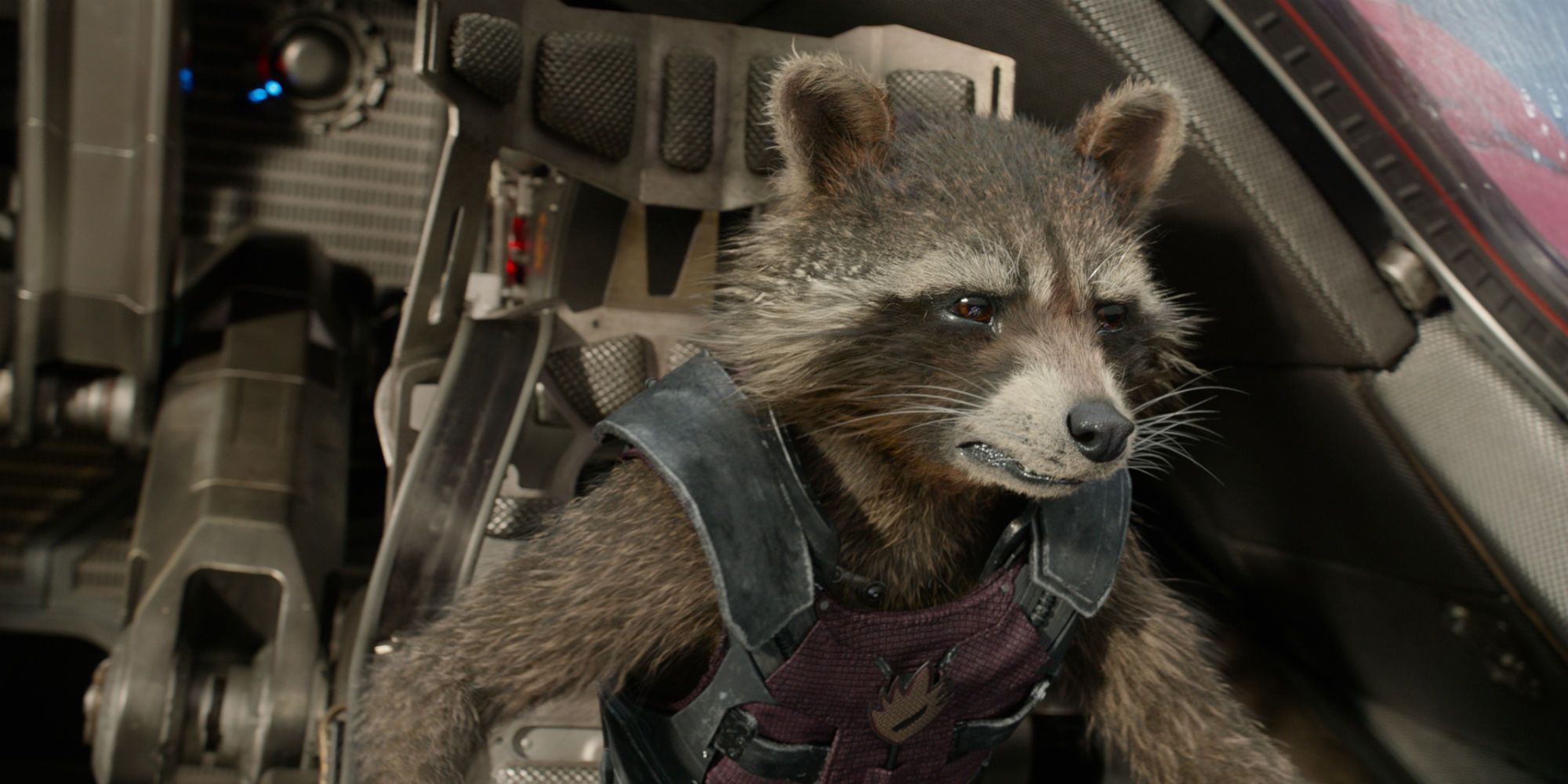 10 Rocket Racoon Quotes From The MCU That We Will Always Remember